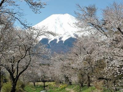 Pension Sumomo No Ki Oshino Exteriör bild
